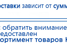 ДЭНАС-ПКМ купить в Омске, Аппараты Дэнас купить в Омске, Скэнар официальный сайт - denasvertebra.ru